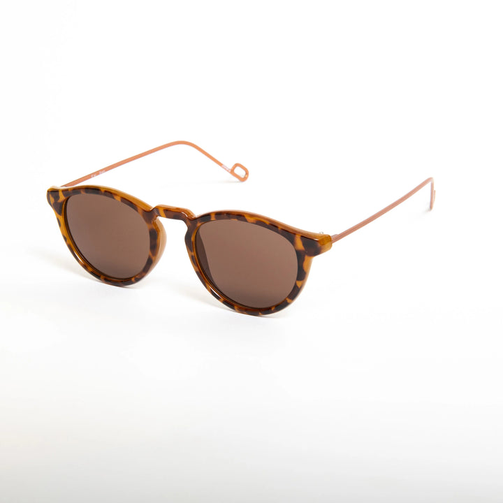 Ciqi Evans Debby Brown Sunglasses - Brown Lens
