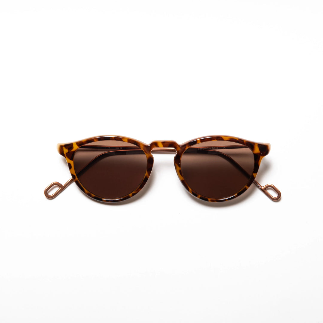Ciqi Evans Debby Brown Sunglasses - Brown Lens