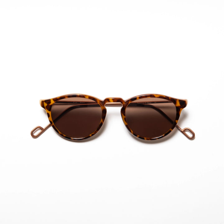 Ciqi Evans Debby Brown Sunglasses - Brown Lens