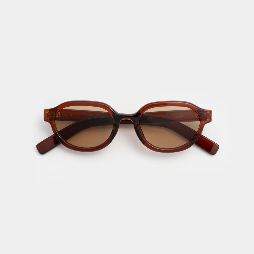Ciqi Ian Brown Sunglasses