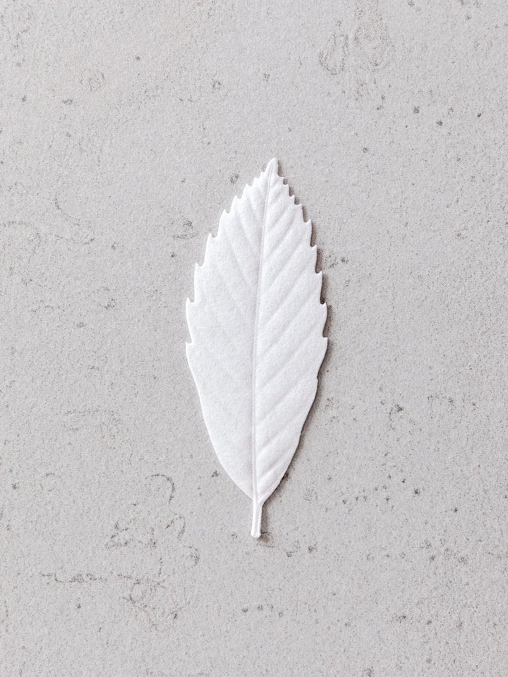 עלה קטורת מס. 3  ארז