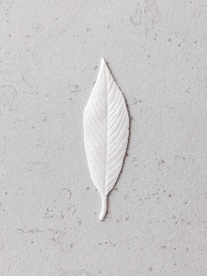 עלה קטורת מס. 4 טחב