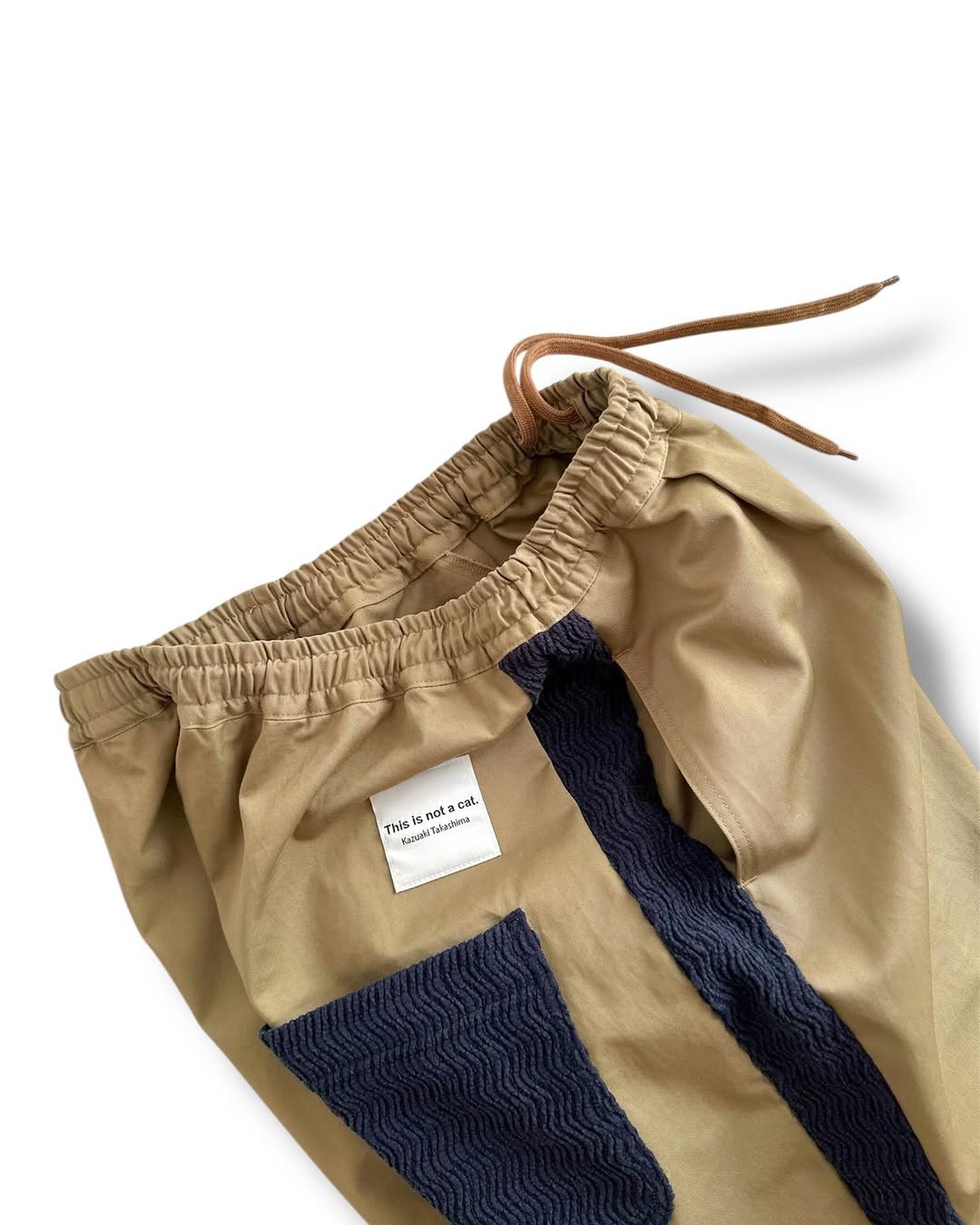 This is Not a Cat Chino Pants