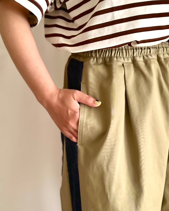 This is Not a Cat Chino Pants