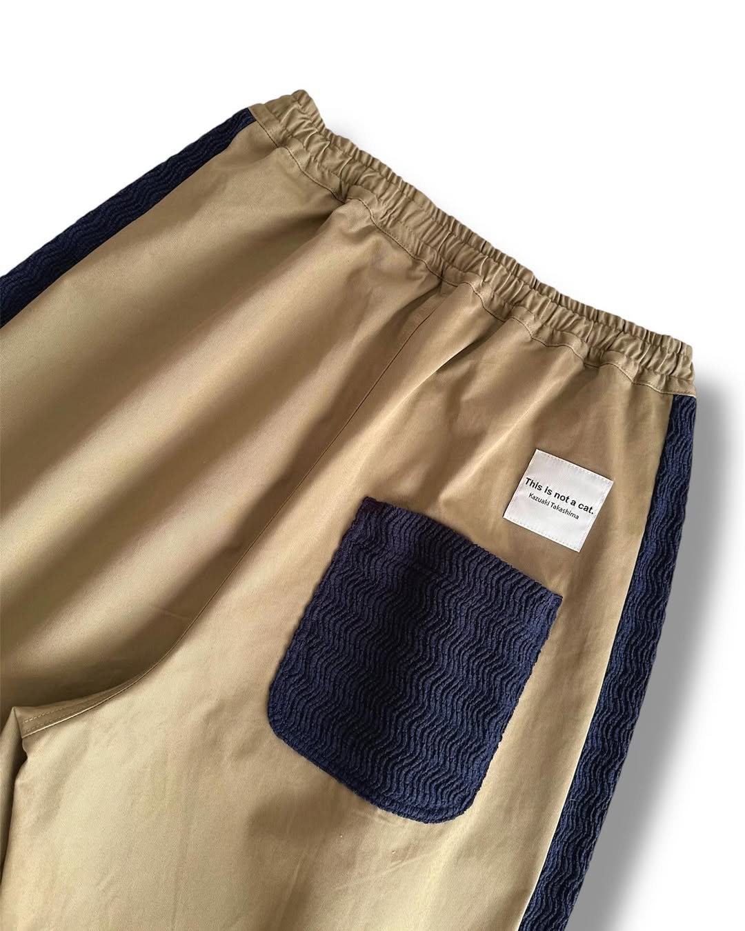 This is Not a Cat Chino Pants