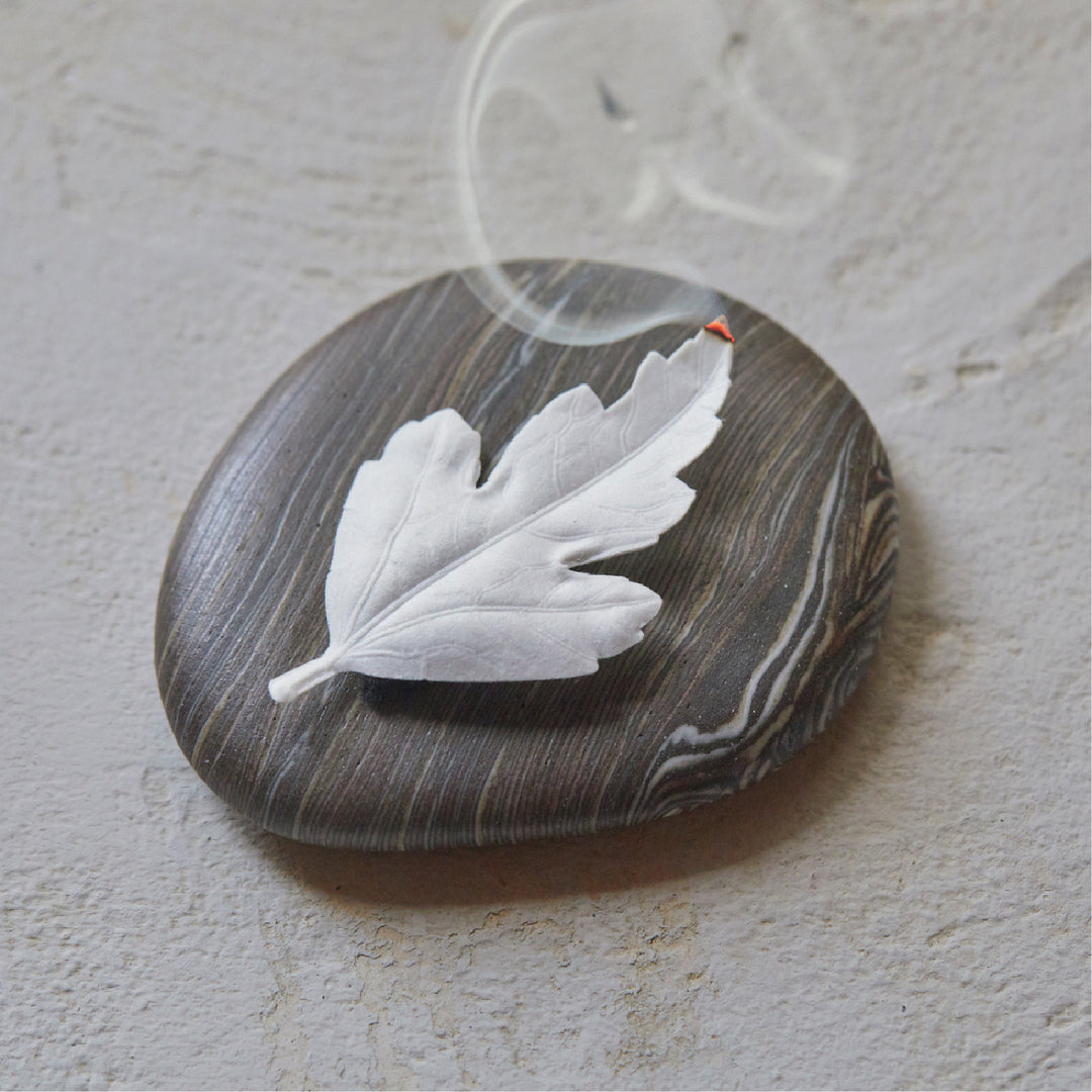 עלה קטורת מס. 1 סנדלווד