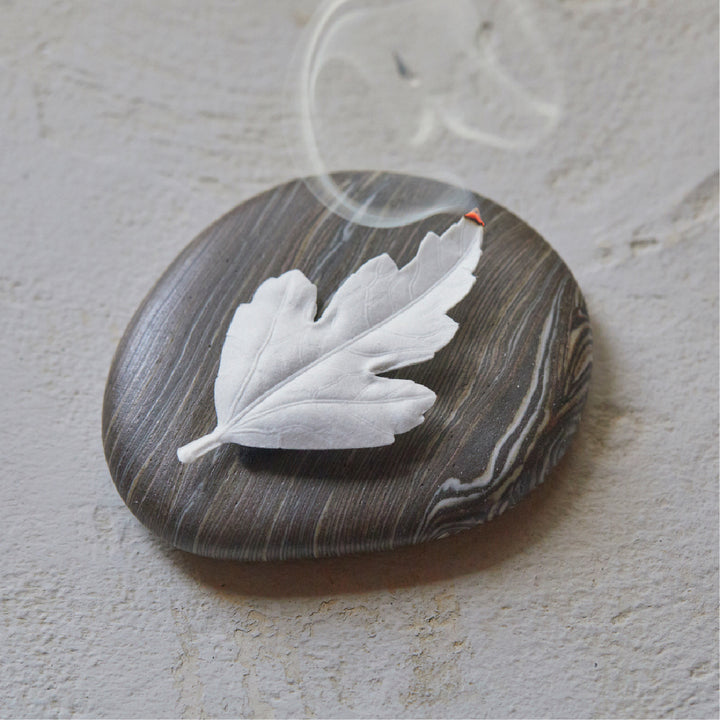 עלה קטורת מס. 1 סנדלווד