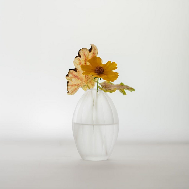 Seed flower vase small